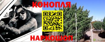 тгк Кингисепп