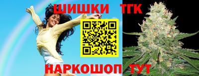 тгк Кингисепп