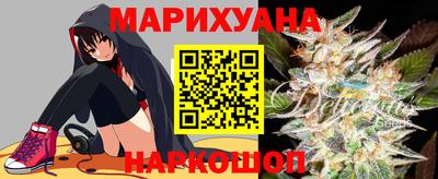 тгк Кингисепп
