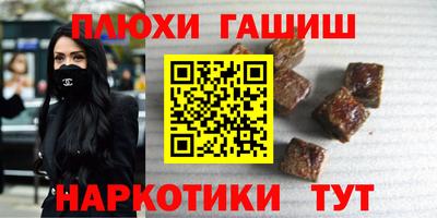 тгк Кингисепп