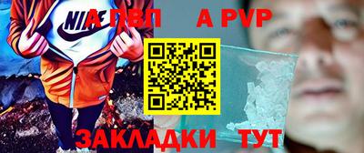 тгк Кингисепп
