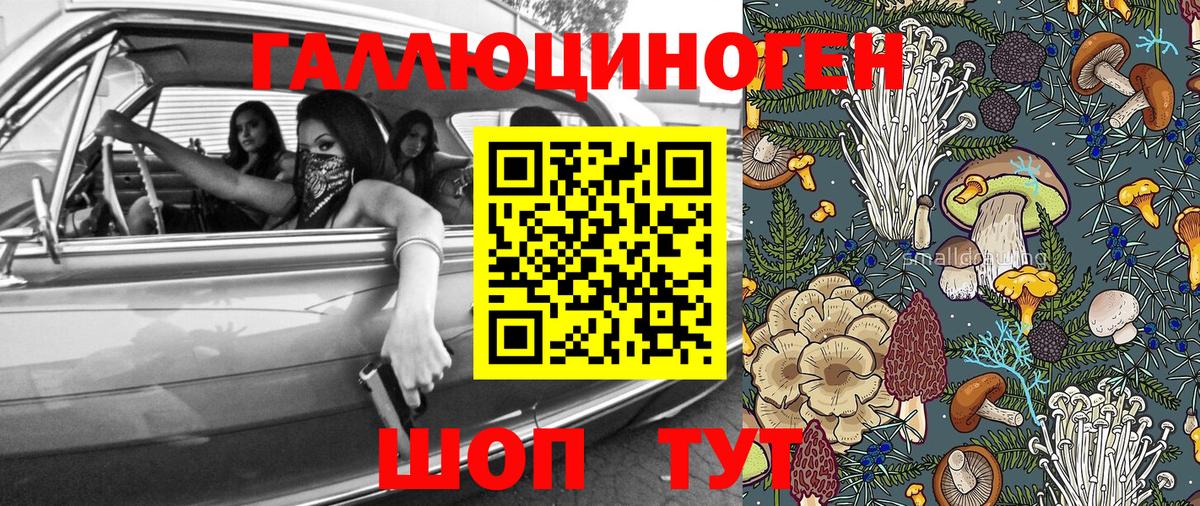 Кемерово  Псилоцибиновые грибы Psilocybine cubensis  Вход с VPN 